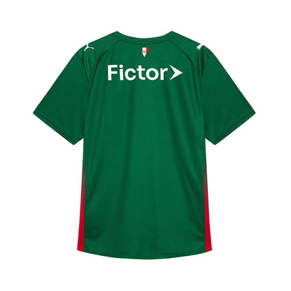 Camisa Palmeiras I 26/27
